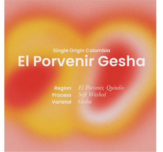 El Porvenir Gesha