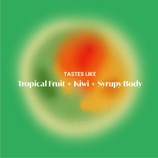 Single Origin - Ethiopia Muje Mesina