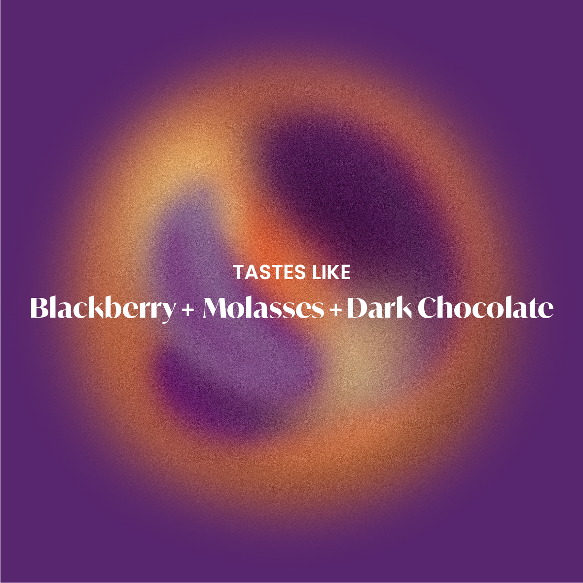 Experimental Microlot - Blackberry Co-Fermented Jairo Arcila