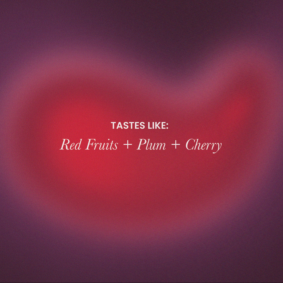 Cabernet Cherry