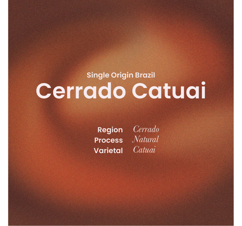 Single Origin Brazil - Cerrado Catuai