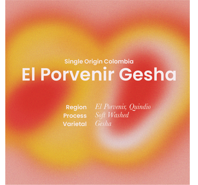 El Porvenir Gesha