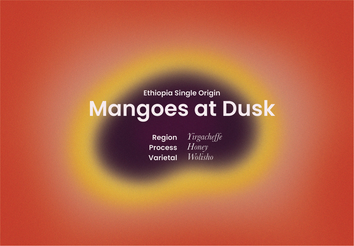 Ethiopia - Mangoes at Dusk