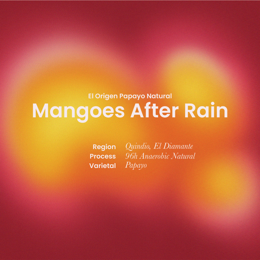 Mangoes After Rain