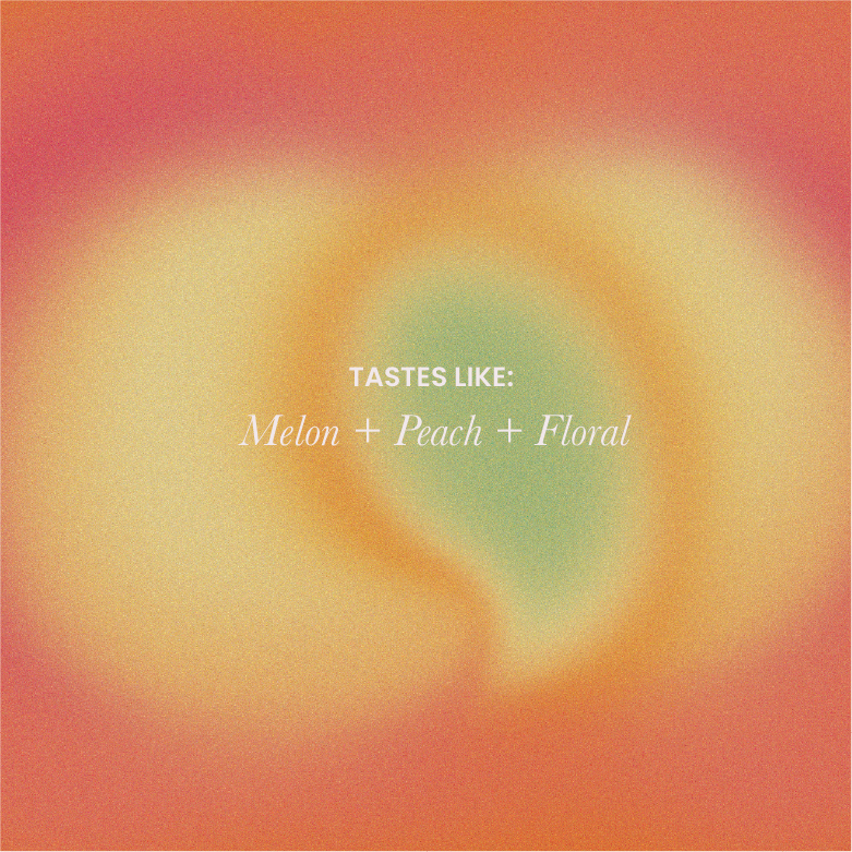 Melon & Peach Co-Ferment