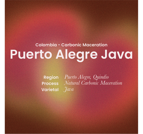 Carbonic Maceration - Columbia - Puerto Alegre Java