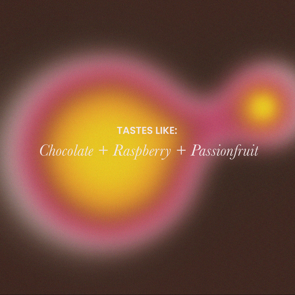 Raspberry Cocoa Decaf