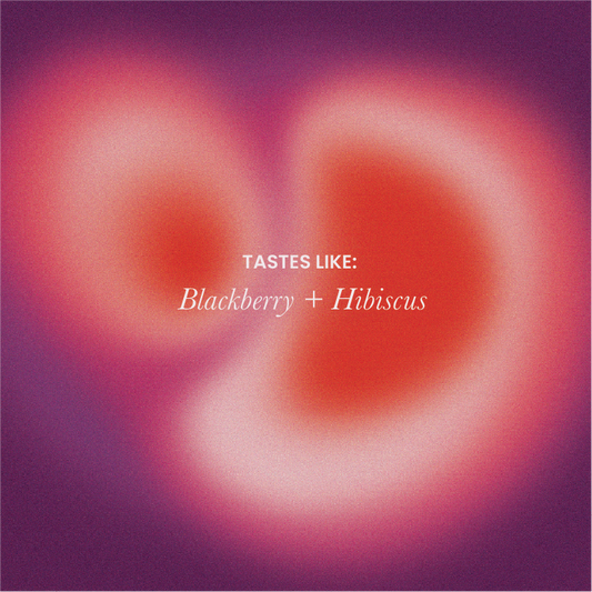 House Filter - El Roble Honey